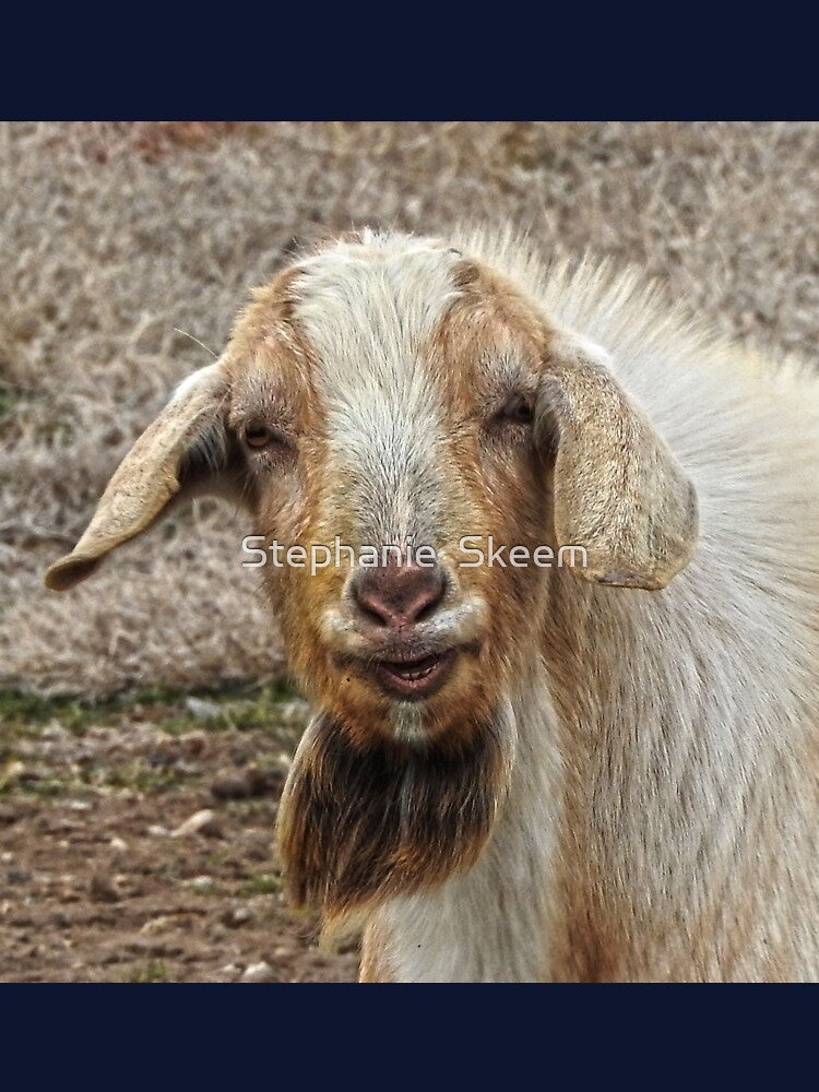 smiling billy goat by Stephanie Skeem