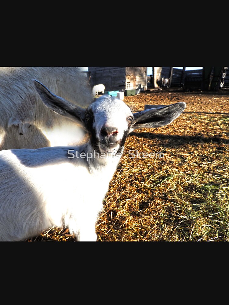 cute elf eared goat by Stephanie Skeem