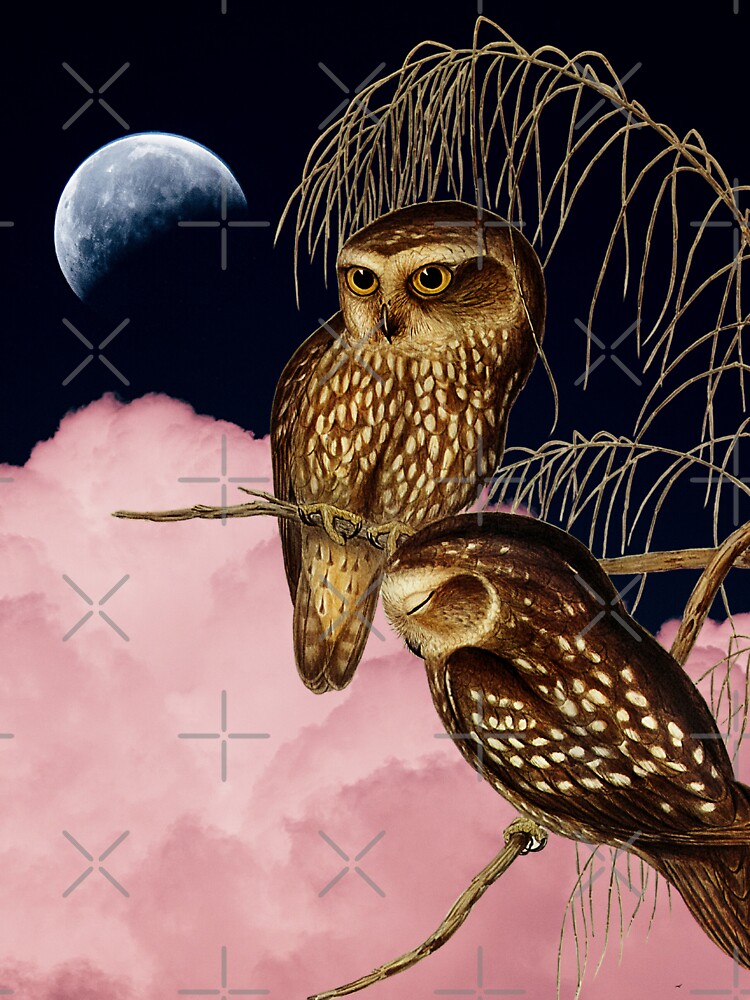 Night Owl by Imakeyouhappy