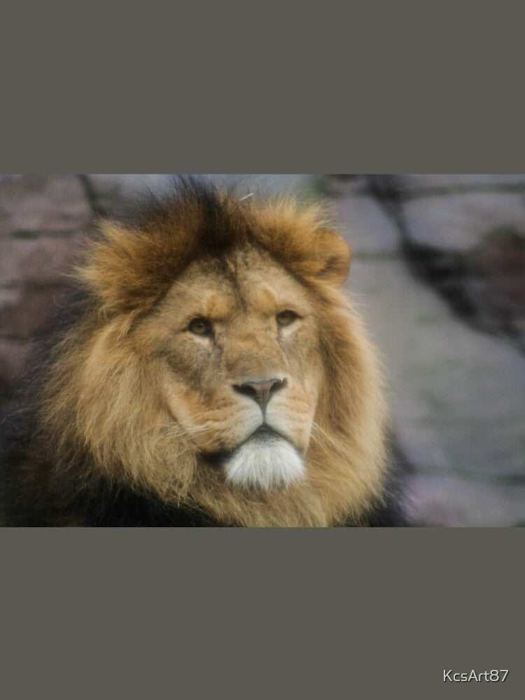 Male Lion Portrait by KcsArt87