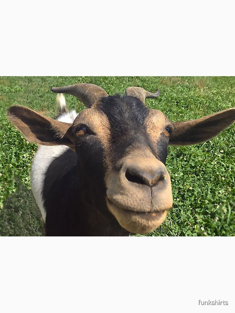 Nosey Goat by funkshirts