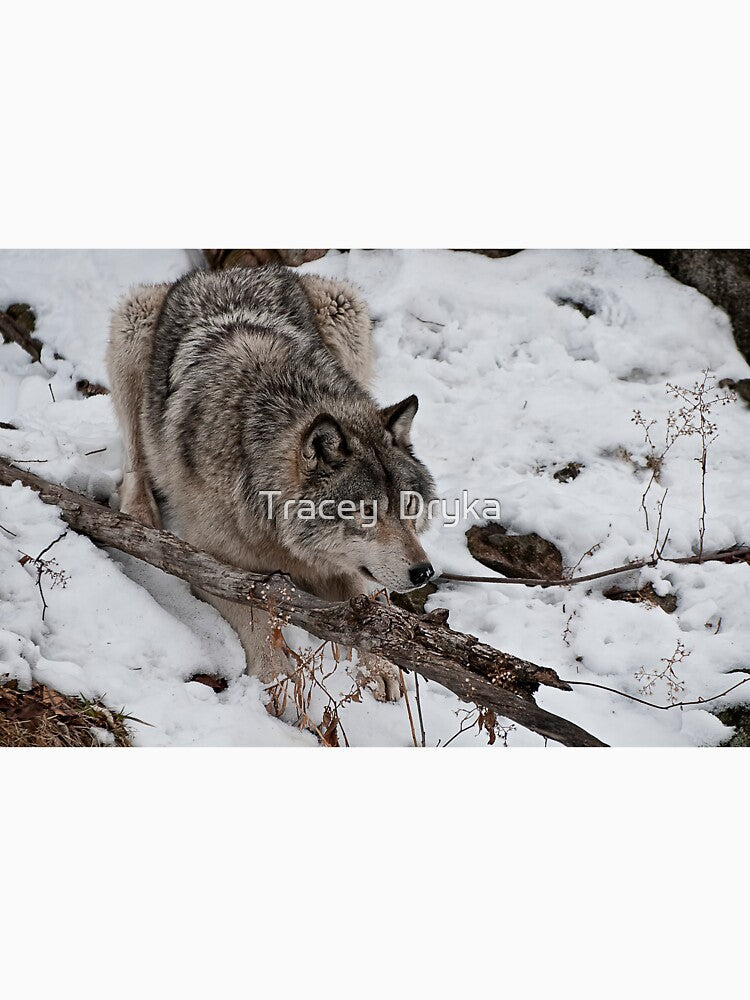 Anxious by Tracey Dryka
