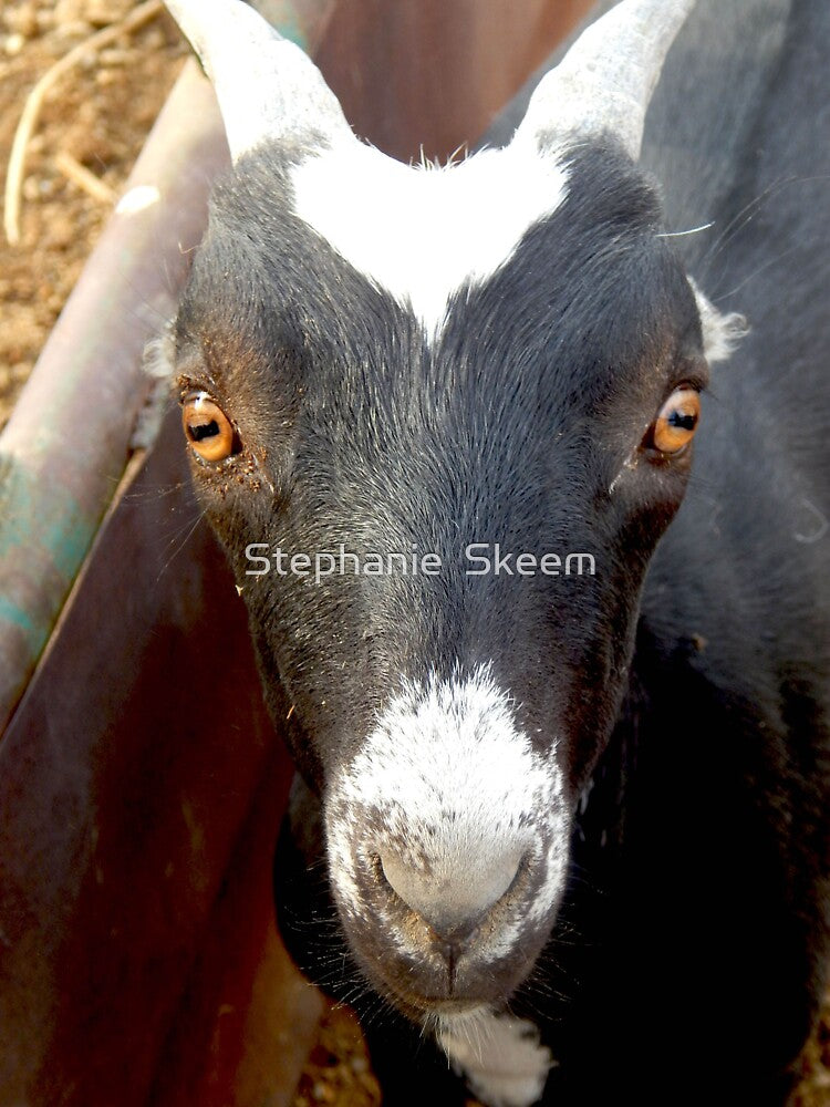 funny black goat face by Stephanie Skeem