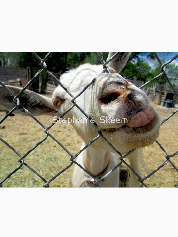 funny goat sticking out its tongue by Stephanie Skeem
