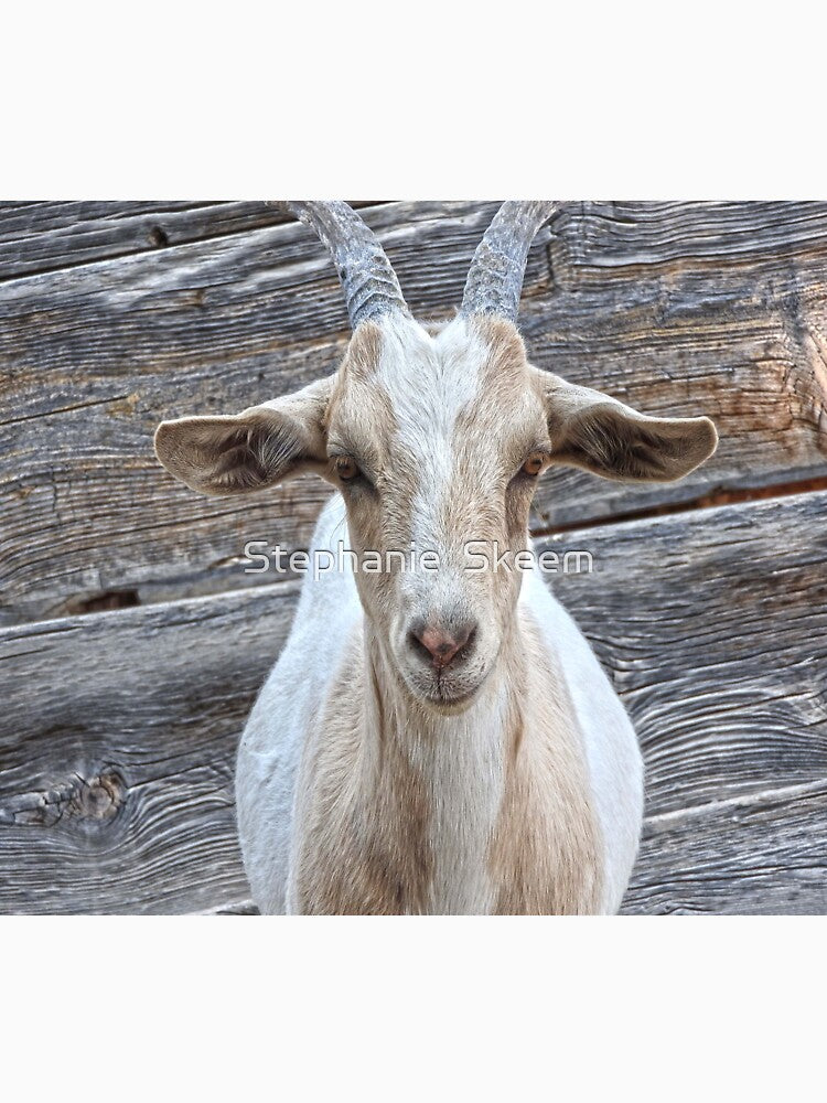 beautiful goat beautiful wood by Stephanie Skeem