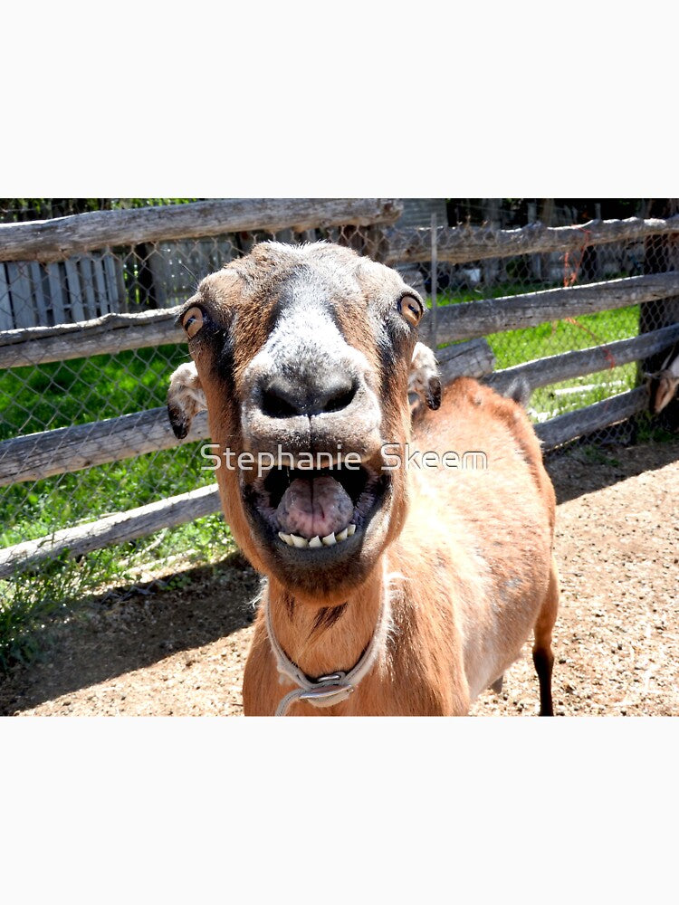 smiling goat, yelling goat, funny goat by Stephanie Skeem