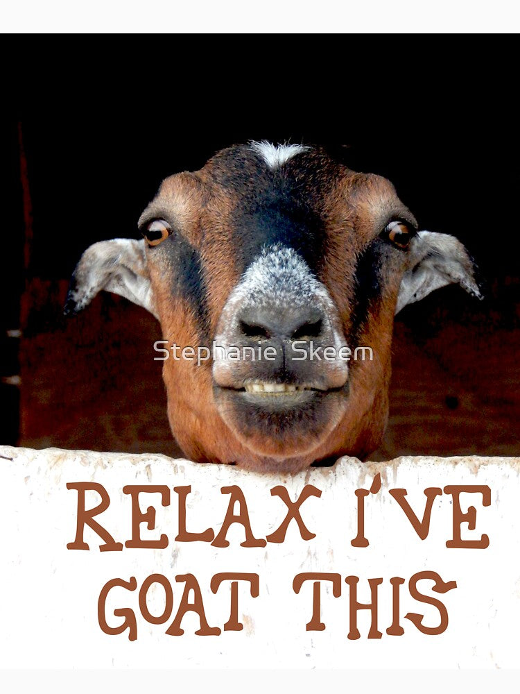 relax I goat this, fun goat, smiling goat, by Stephanie Skeem