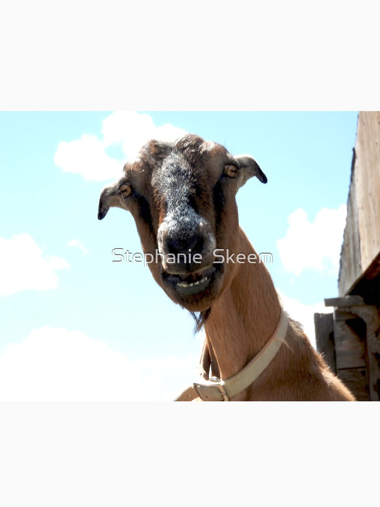 goat head in the clouds by Stephanie Skeem