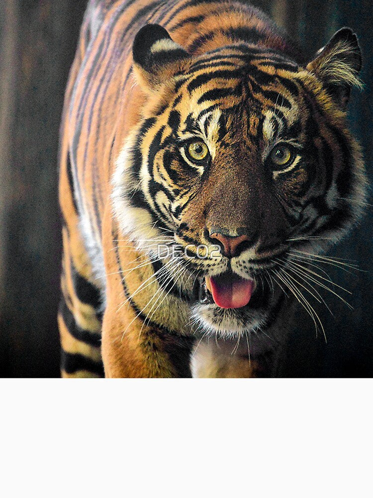 Breathtaking Tiger Face Luxurious Photo Art by DEC02