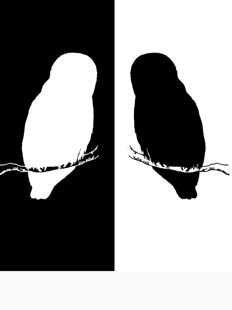 Owls by DelirusFurittus