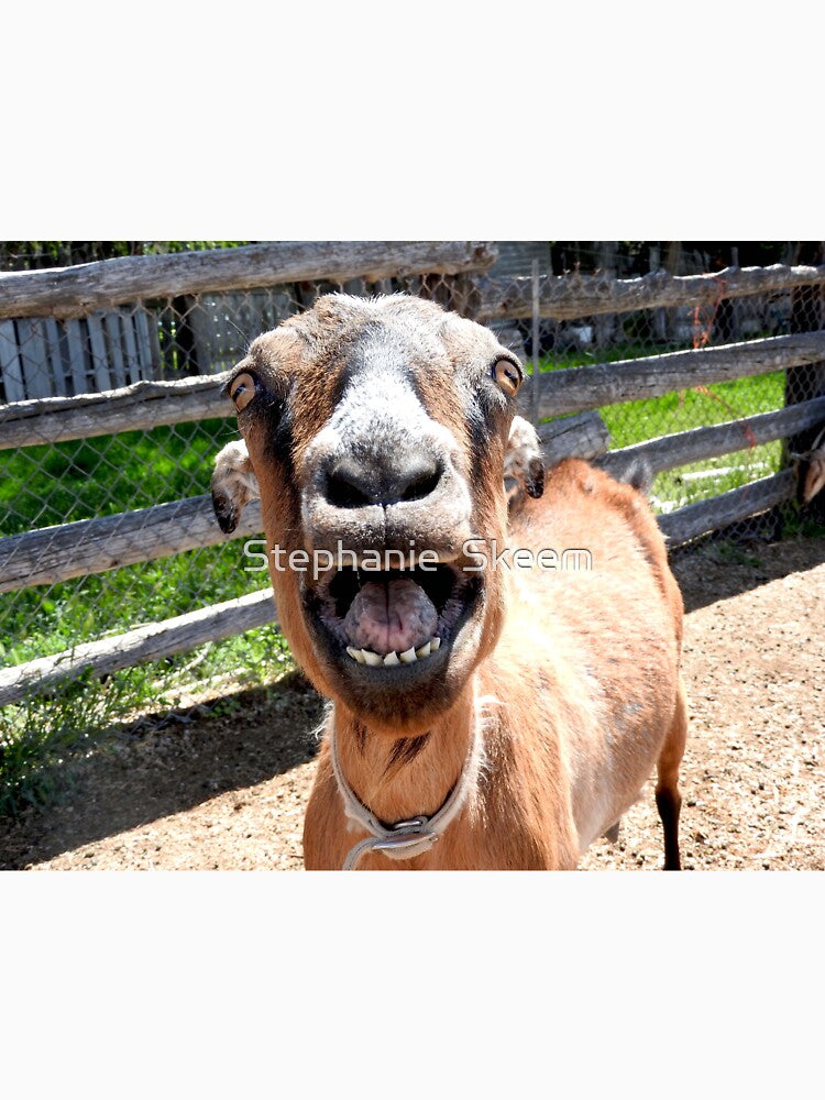 Funny yelling goat, goat mouth, screaming goat by Stephanie Skeem