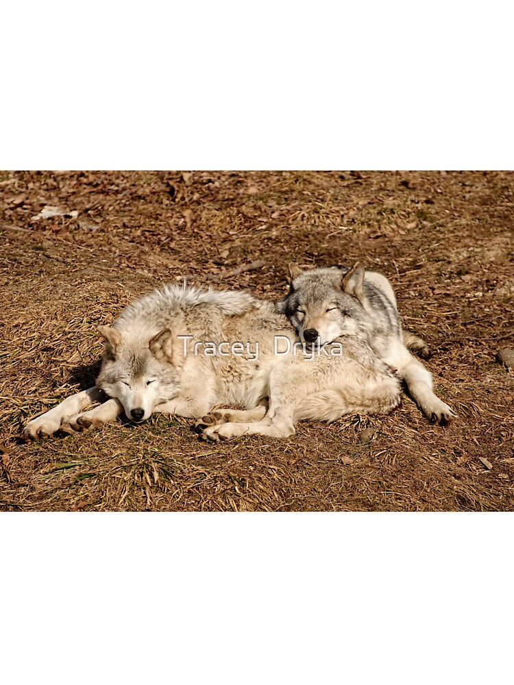 A little relaxation!! by Tracey Dryka