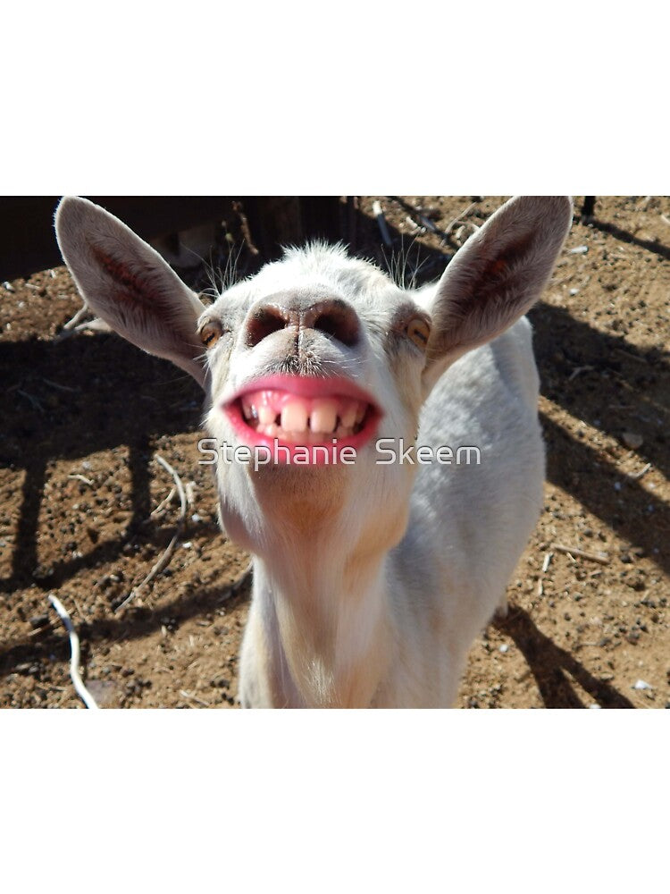 funny smiling goat by Stephanie Skeem