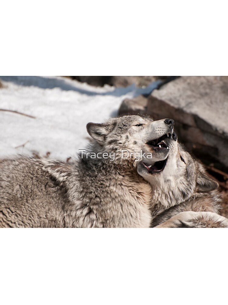 More Than a Mouthful by Tracey Dryka
