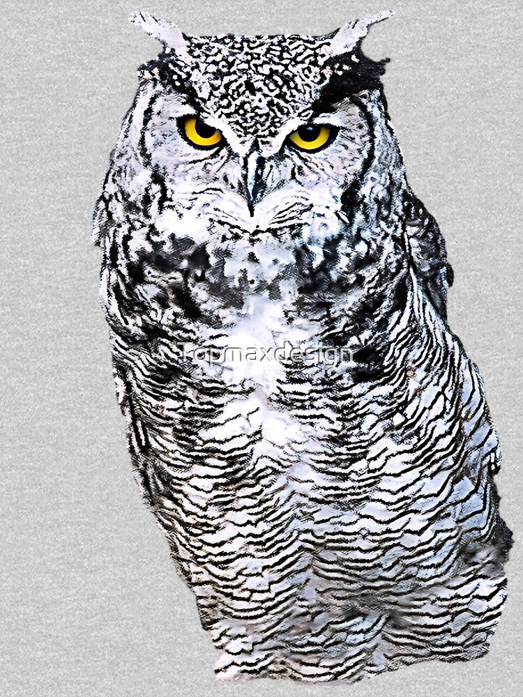 Art Owl by Topmaxdesign