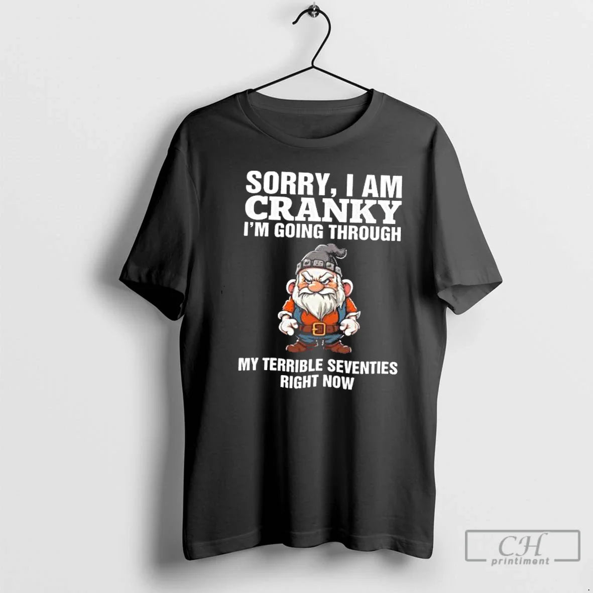 Classic Old Gnome Terrible Seventies Sorry I Am Cranky Im Going Through My Terrible Seventies