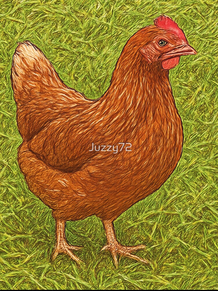 ISA Brown Pullet by Juzzy72