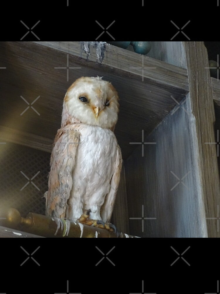 Owl, Owl mask, Owl mugs, by PicsByMi