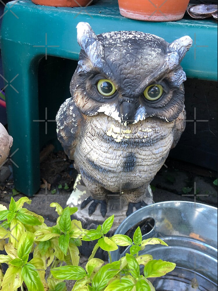 Owl, Owl sticker, Owl mask, Owl socks, Owl mug by PicsByMi