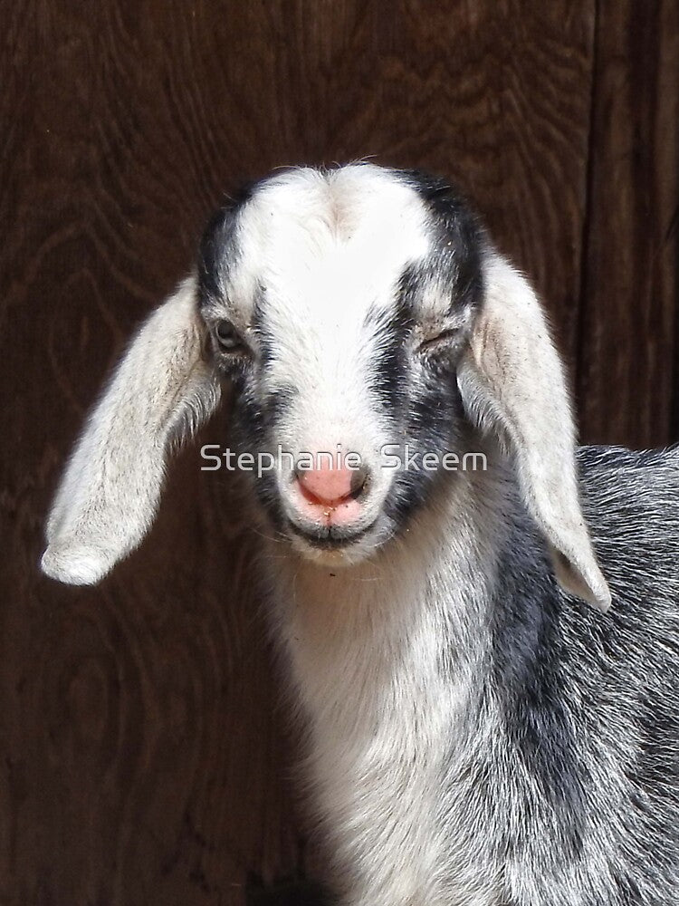winking goat by Stephanie  Skeem