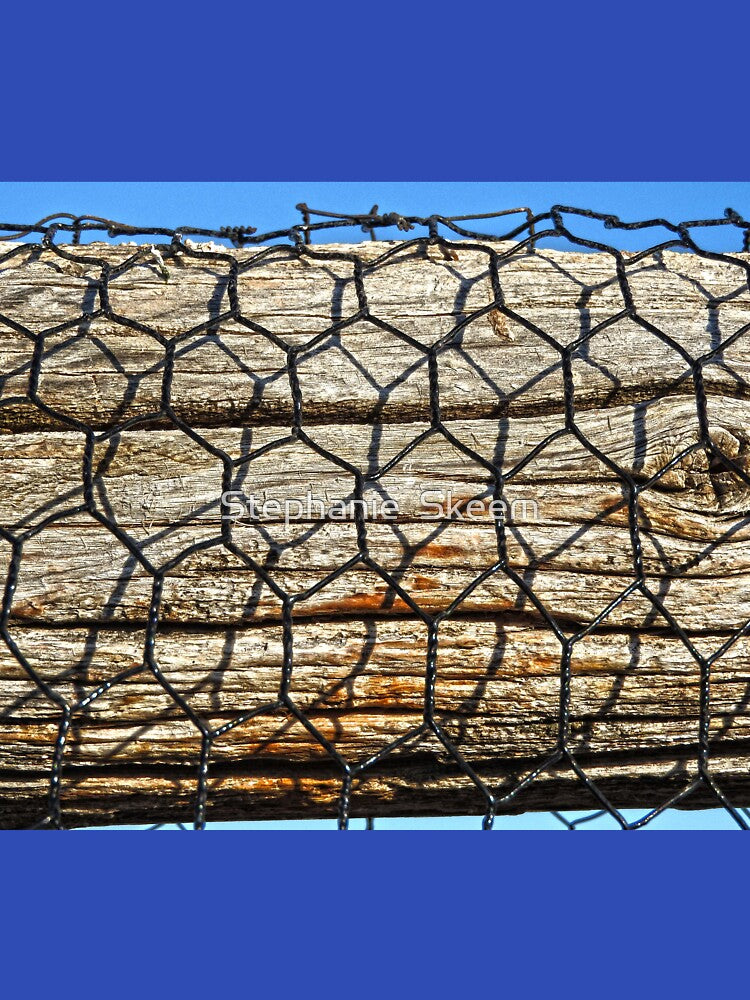 chicken wire and old wood by Stephanie  Skeem