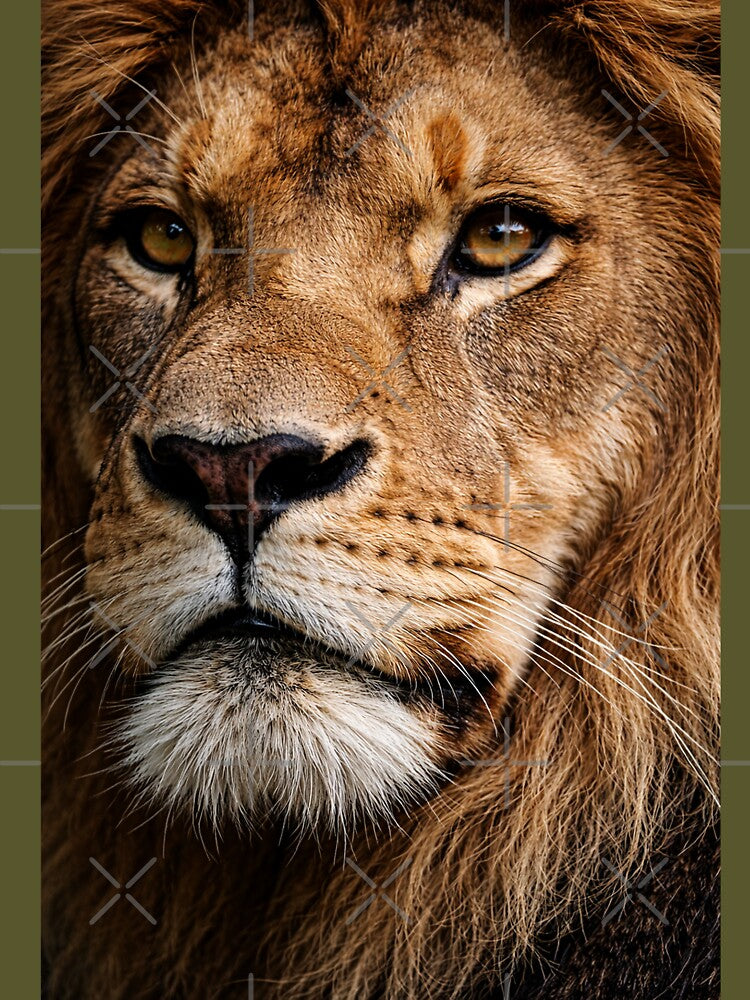 Majestic Lion Portrait by LuluLeb