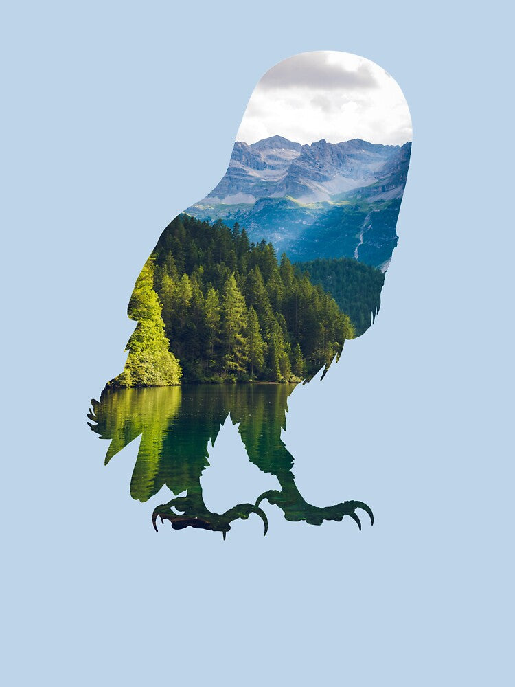 Owl - Mountains by kidvid