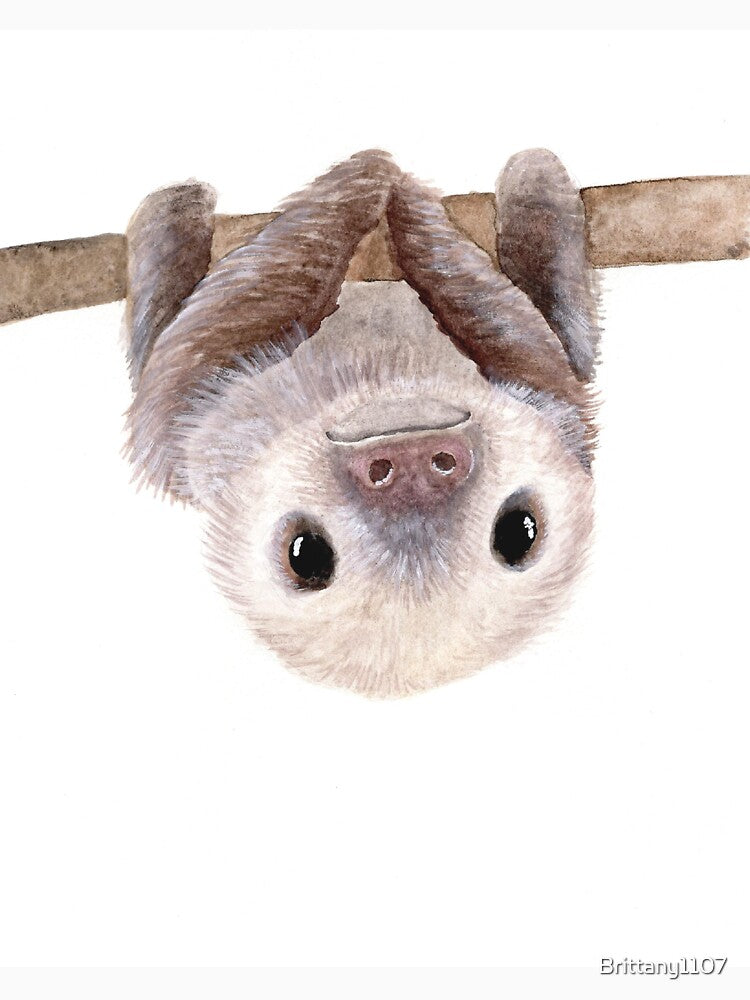 Baby Sloth by Brittany1107