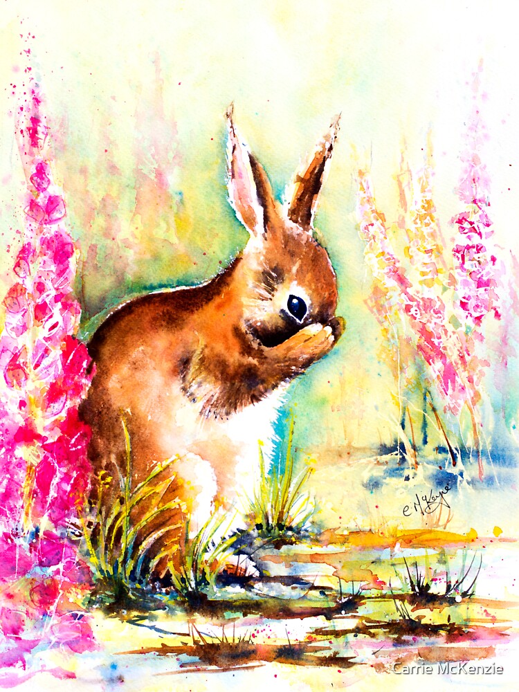 Little Shy Rabbit by carriemckenzie