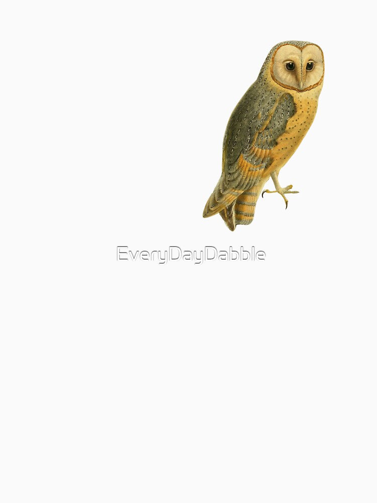 Barn Owl | Vintage Owl illustration by EveryDayDabble