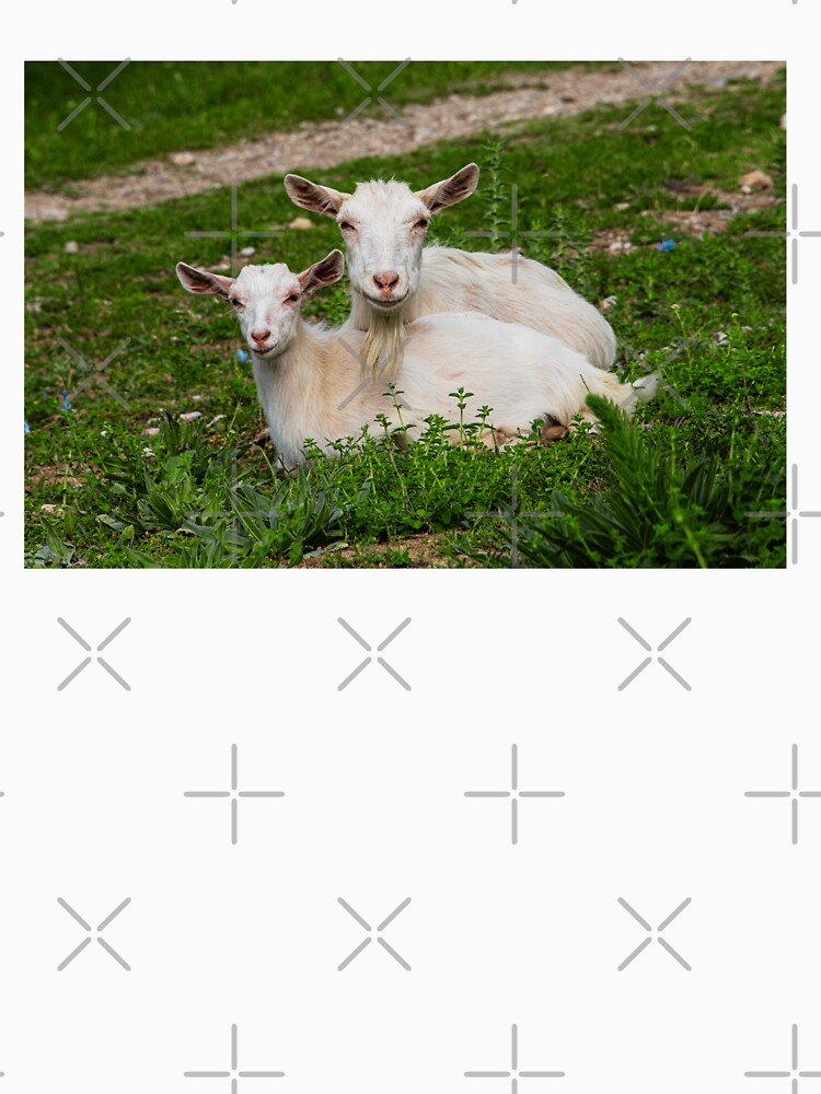 Saanten Goats by TheAnimalZ00