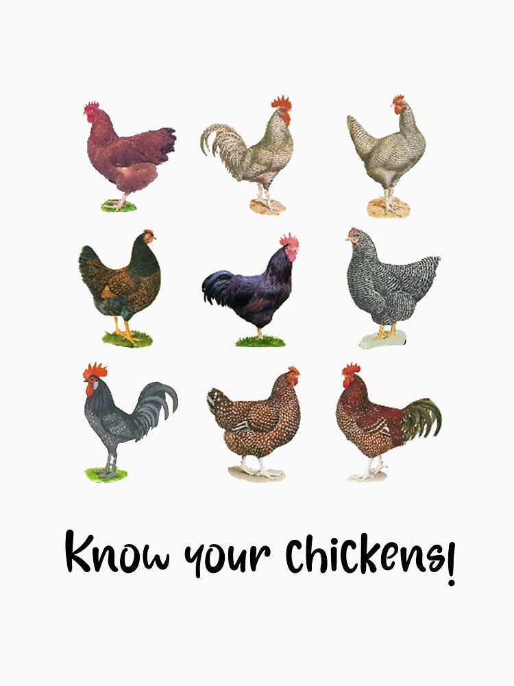 Chicken,chicken Lover, Farm,chicken Mom, Pecker, Chicken Vintage by RonaldDesigner