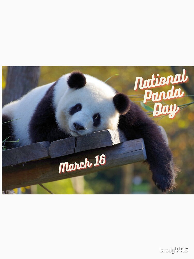 National Panda Day March 16 by brady4415