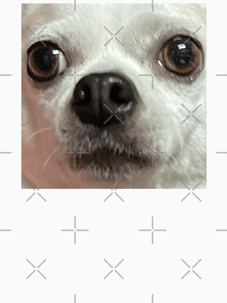 Taco the Chihuahua by ThunderRuler
