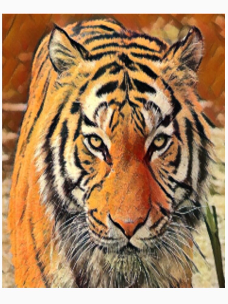 Tiger by Arsenovici