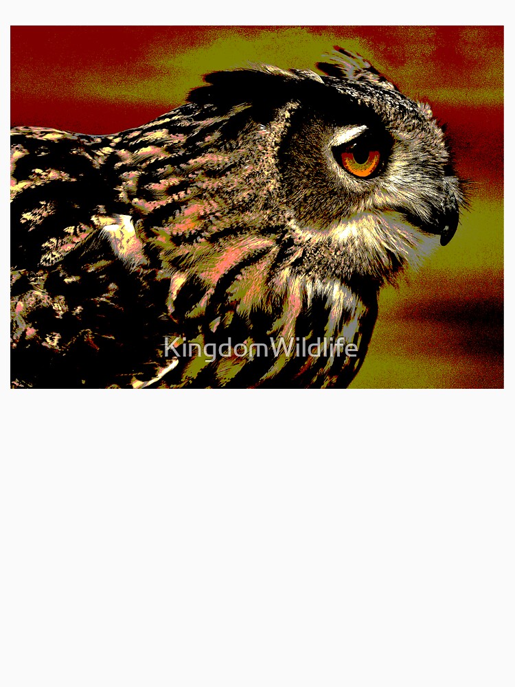Owl #9 by KingdomWildlife