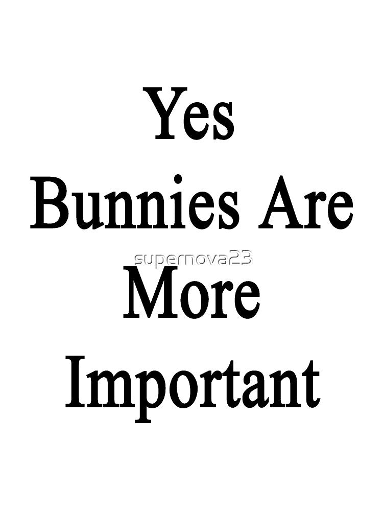 Yes Bunnies Are More Important by supernova23