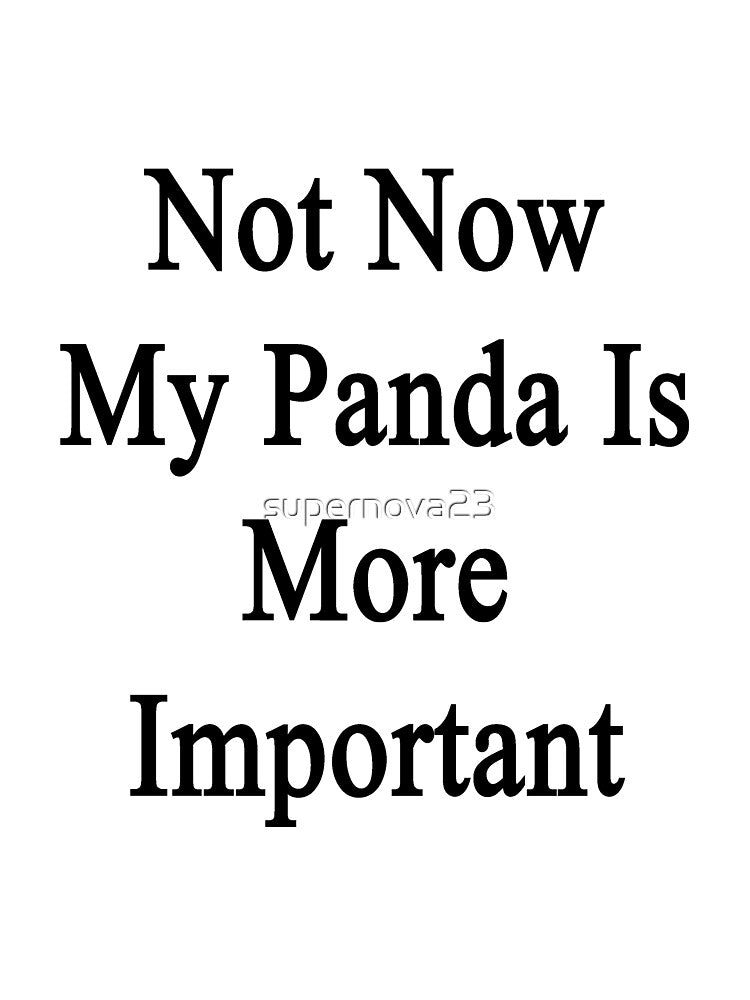Not Now My Panda Is More Important by supernova23