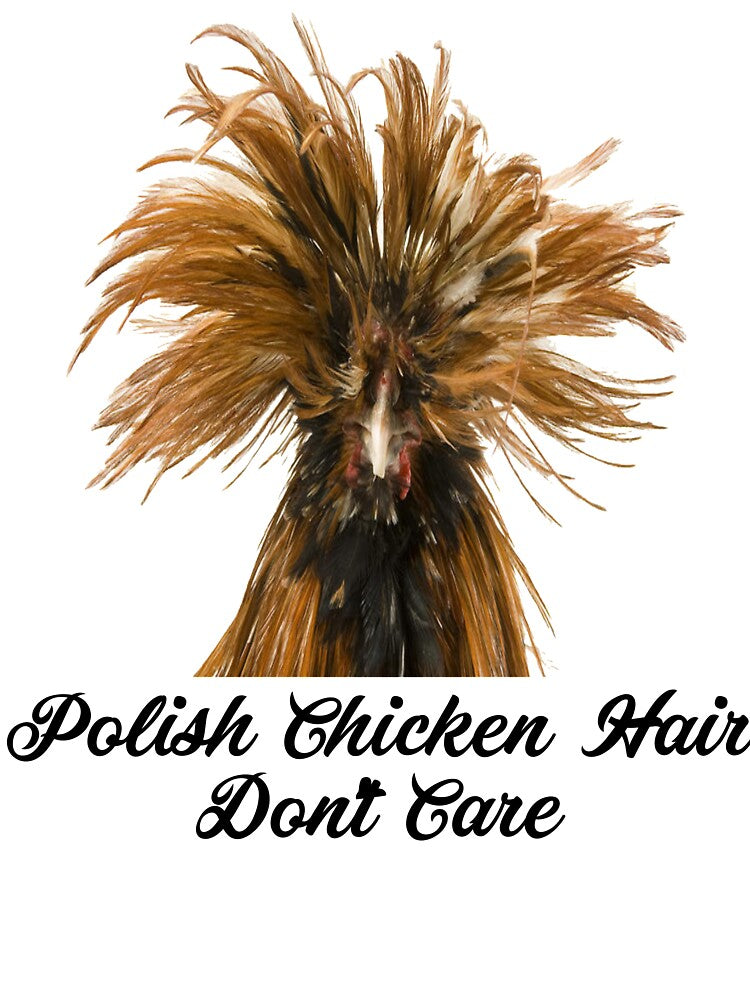 Polish Chicken - Polish Chicken Shirt - Chicken Lovers - Bird Lovers - Funny Chicken - Funny Chicken Shirt - Chicken Owners by Galvanized