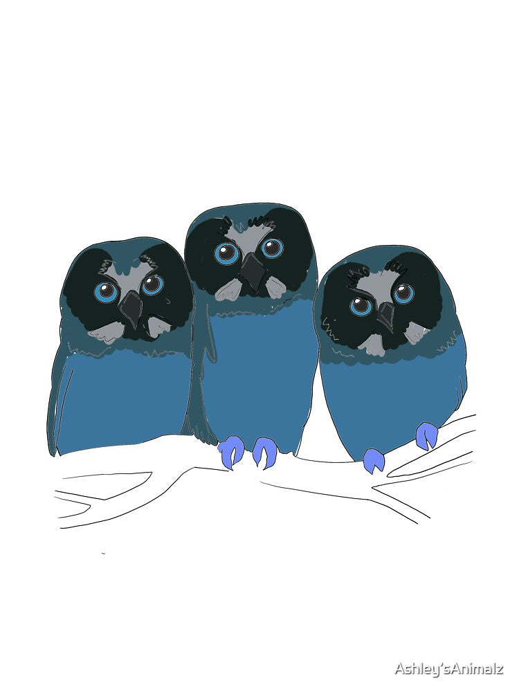 Saw-whet Owls by Ashley’sAnimalz