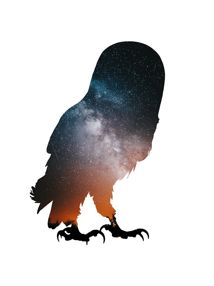 Owl - Galaxy by kidvid