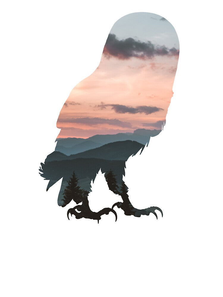 Owl - Sunset Sky by kidvid