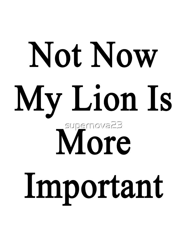 Not Now My Lion Is More Important by supernova23