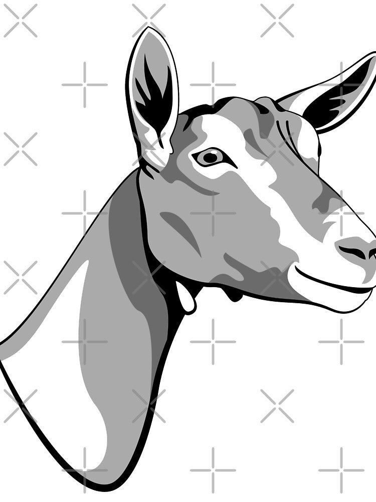 Toggenburg Goat by missikk2