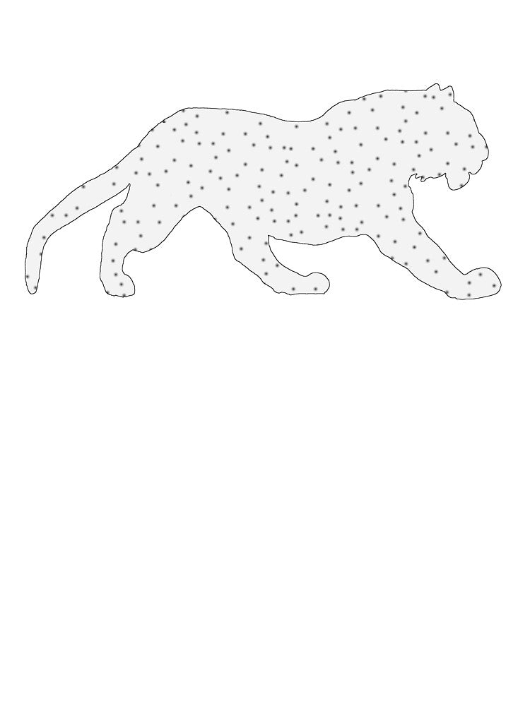 Tiger by DelirusFurittus