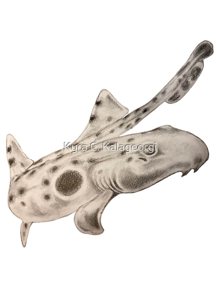 Epaulette Shark by Kyra C. Kalageorgi