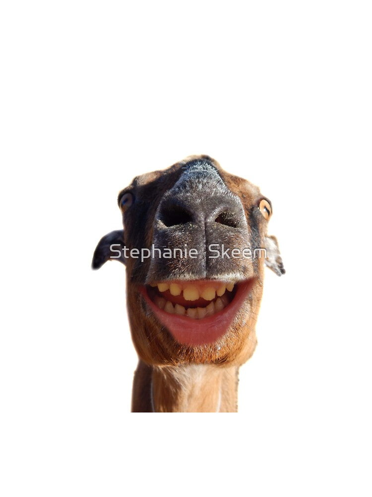 grinning goat by Stephanie  Skeem