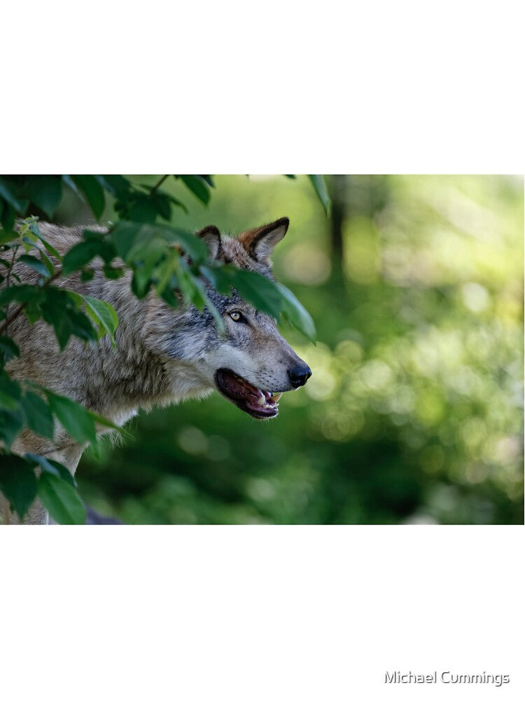 Timber Wolf by Michael Cummings