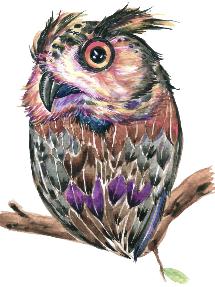 Nice Owl by MED-AFDS