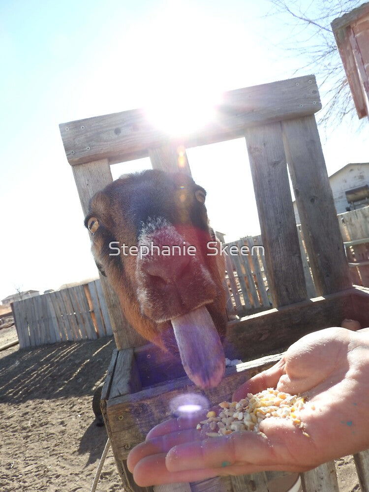 Eat it up, yum goat tongue, by Stephanie  Skeem